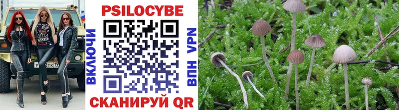 Галлюциногенные грибы мицелий  Калуга 