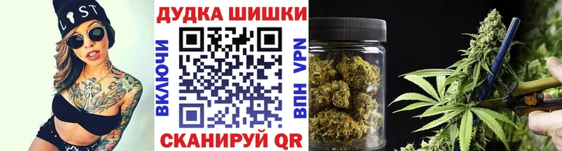 купить   Калуга  Канабис Amnesia 